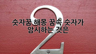 숫자꿈 해몽: 꿈속 숫자가 암시하는 것은?